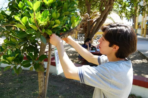 NUESTROS SEGUNDOS MEDIOS COMBINARON LA TECNOLOGÍA CON LA NATURALEZA
